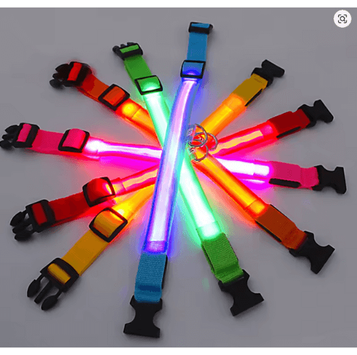 LumiCollar – Poetic LED Dog Collar for Nighttime Presence
