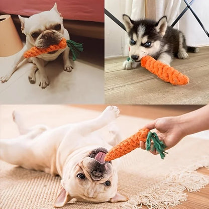 Medium-sized dog chewing on carrot-shaped cotton rope toy, demonstrating bite resistance and teeth-cleaning benefits.