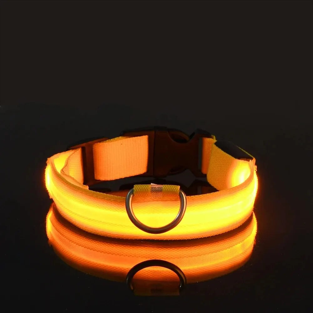 LumiCollar – Poetic LED Dog Collar for Nighttime Presence