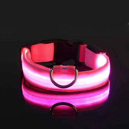 LumiCollar – Poetic LED Dog Collar for Nighttime Presence