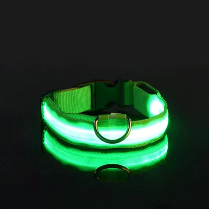 LumiCollar – Poetic LED Dog Collar for Nighttime Presence
