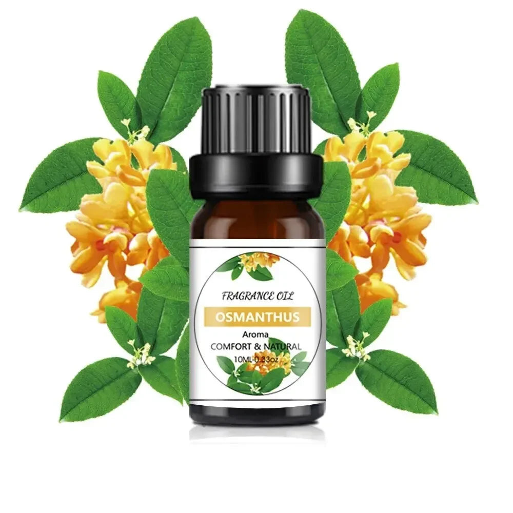 10ml Fruit Essential Oil – Natural Aromas for Diffuser, Soap & Candle Making