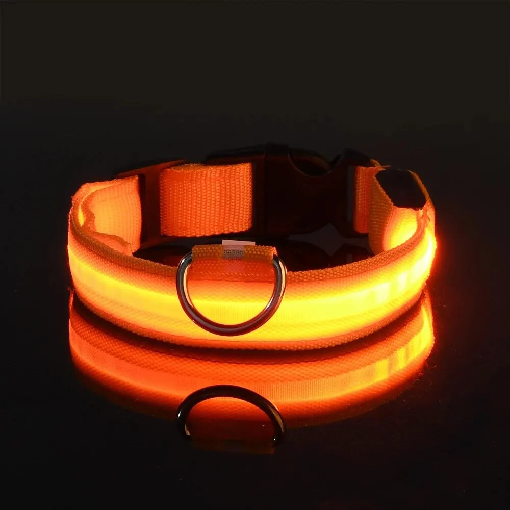 LumiCollar – Poetic LED Dog Collar for Nighttime Presence