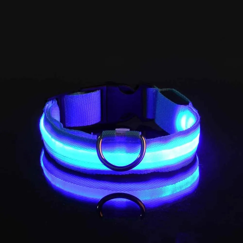 LumiCollar – Poetic LED Dog Collar for Nighttime Presence