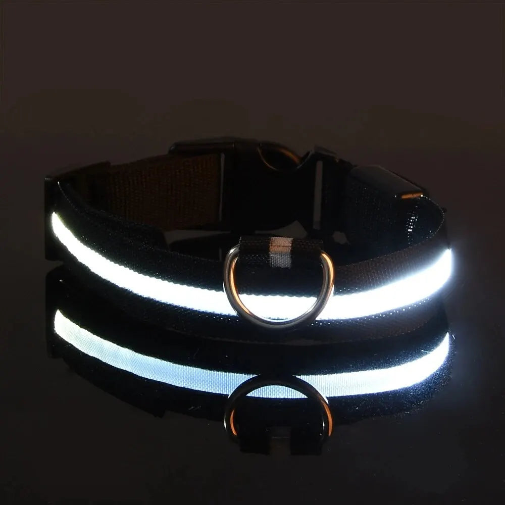 LumiCollar – Poetic LED Dog Collar for Nighttime Presence
