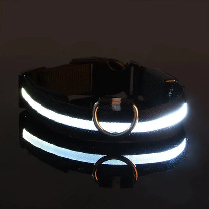 LumiCollar – Poetic LED Dog Collar for Nighttime Presence
