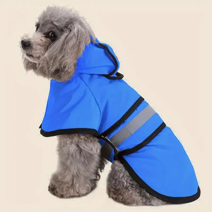 Small dog wearing waterproof raincoat with hood, standing outdoors