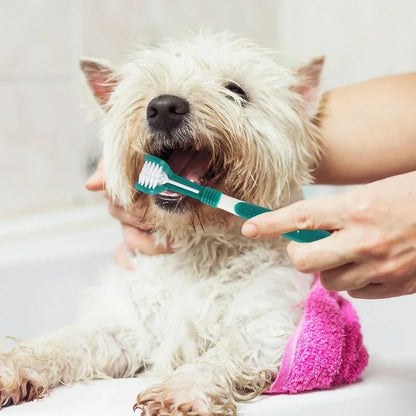  Ergonomic triple-head toothbrush for pets, shown in hand