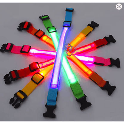 LumiCollar – Poetic LED Dog Collar for Nighttime Presence