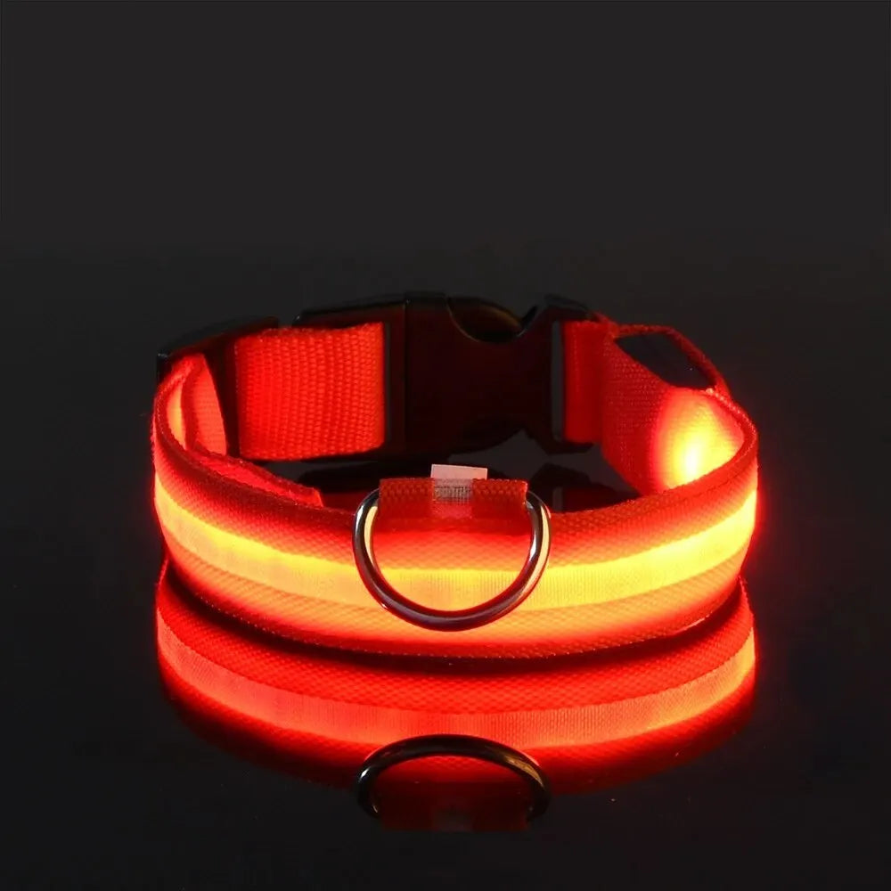 LumiCollar – Poetic LED Dog Collar for Nighttime Presence