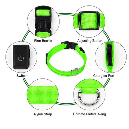 LumiCollar – Poetic LED Dog Collar for Nighttime Presence